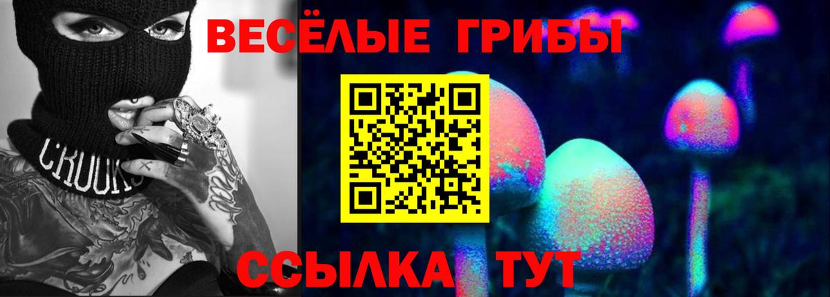 Елизово  Галлюциногенные грибы GOLDEN TEACHER  Вход с VPN 
