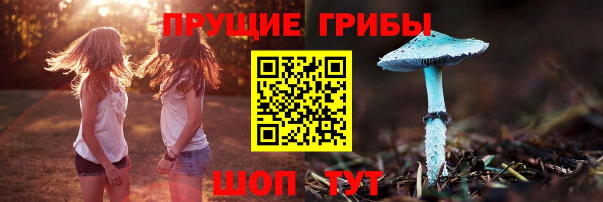 Галлюциногенные грибы Cubensis Елизово